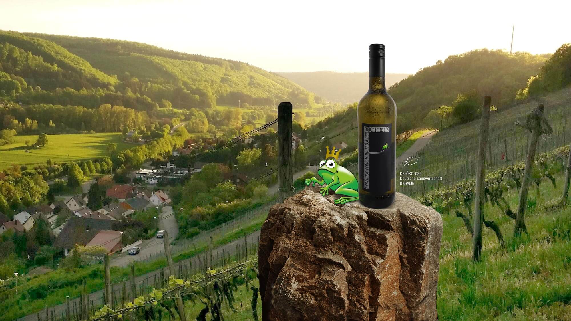 Flasche Fröscher Wein im Weinberg auf einem Felsen